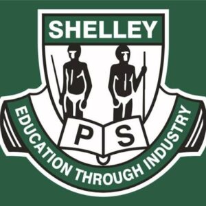 ReelChess at Shelley Public School, Term 4 2026